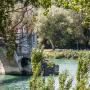provence
